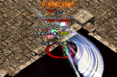 <strong>新开传奇私服青龙兽的挑战之路:专家指导手册！</strong>